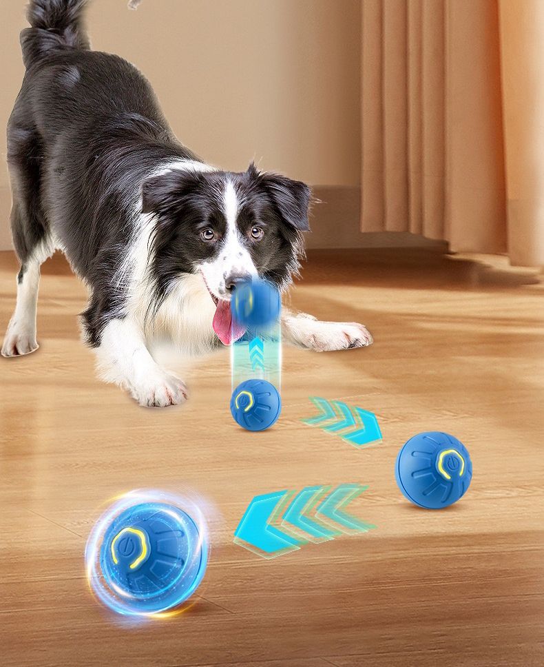 WagSmart Pet Ball ™ Pelota Inteligente para Mascotas