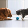 WagSmart Pet Ball ™ Pelota Inteligente para Mascotas