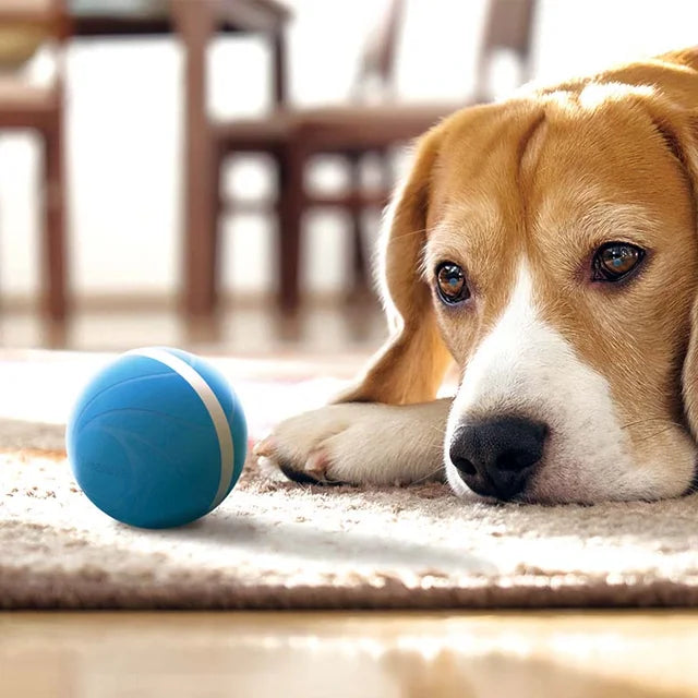 WagSmart Pet Ball ™ Pelota Inteligente para Mascotas